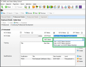 Sims school workforce census
