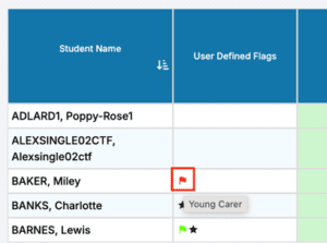 June 2026 Newsletter Blog Post 24 Bromcom 14 user defined flags